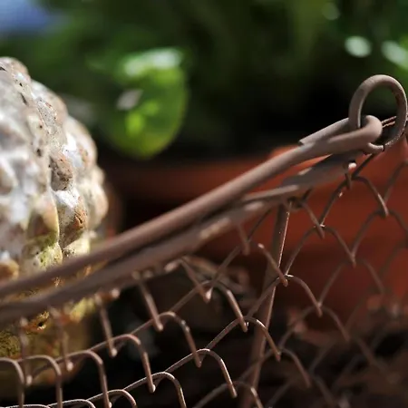 Prázdninový dům In Mit Sauna, Garten Und Grill Ummanz