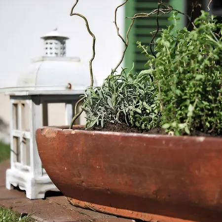 In Mit Sauna, Garten Und Grill Ummanz